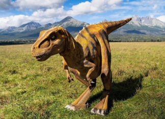Tip na výlet s deťmi v Tatrách? Svet dinosaurov ako na dlani.